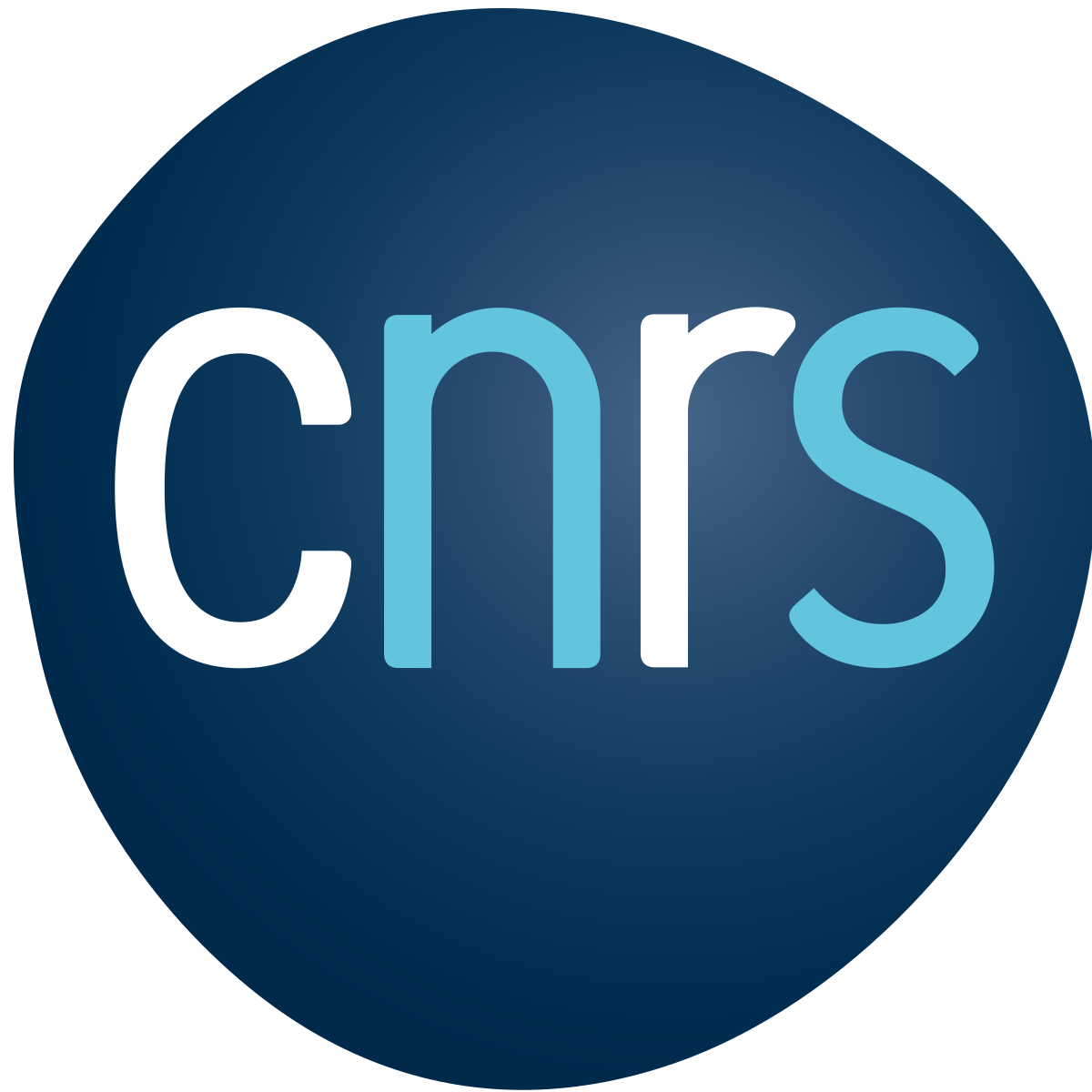 Logo de l'entreprises CNRS