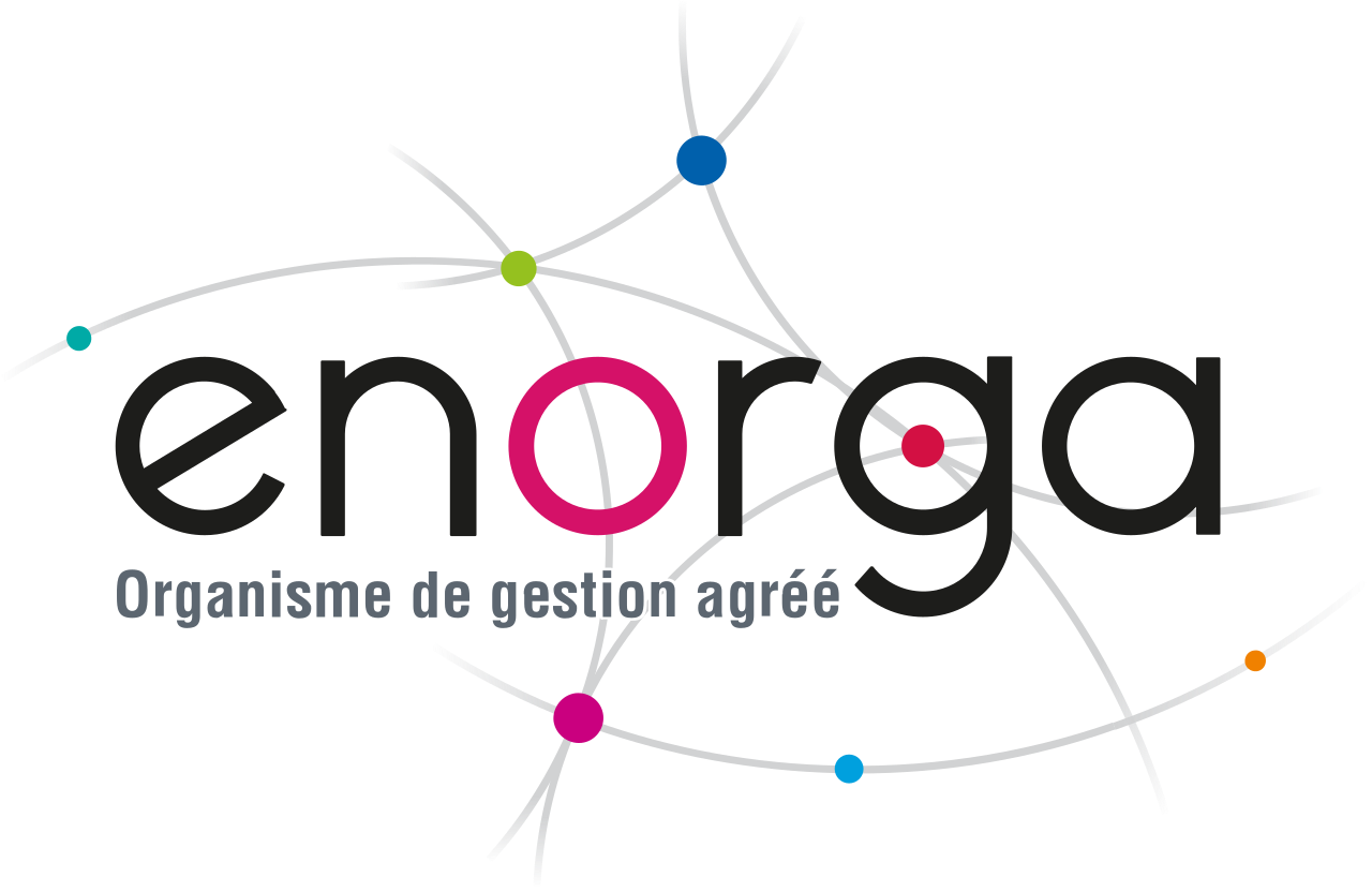 Logo de l'entreprises Enorga