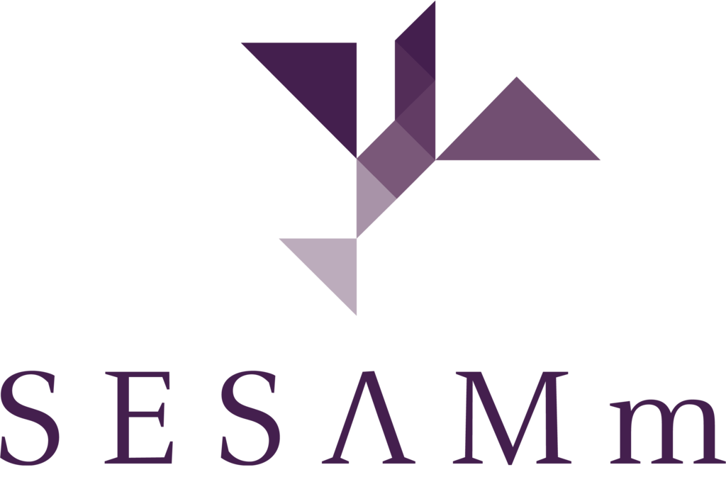 Logo de l'entreprises SESAMm
